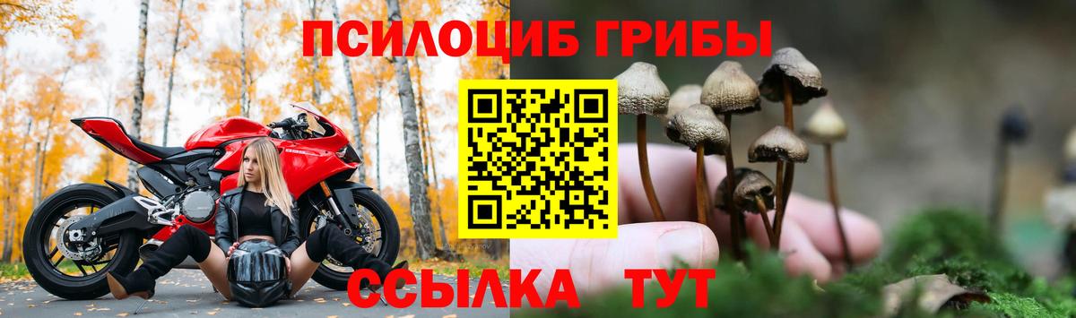 где купить наркоту  Галлюциногенные грибы MAGIC MUSHROOMS  Вход с VPN  Галлюциногенные грибы Cubensis  Ростов Великий 